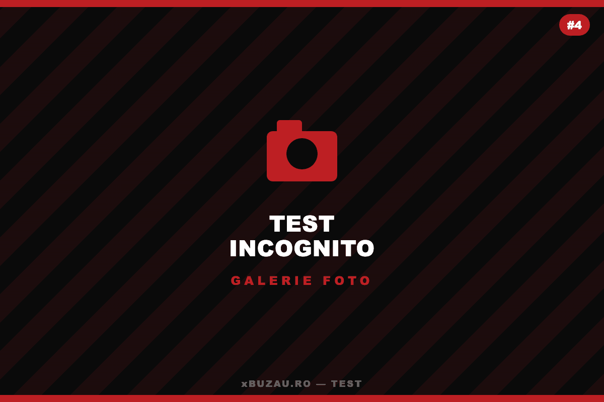 [TEST] Incognito: Imagini din culise